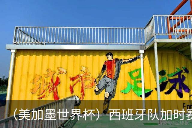 （美加墨世界杯）西班牙队加时赛1:0绝杀阿根廷队 夺得世界杯冠军